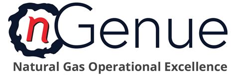 ngenue india private limited.